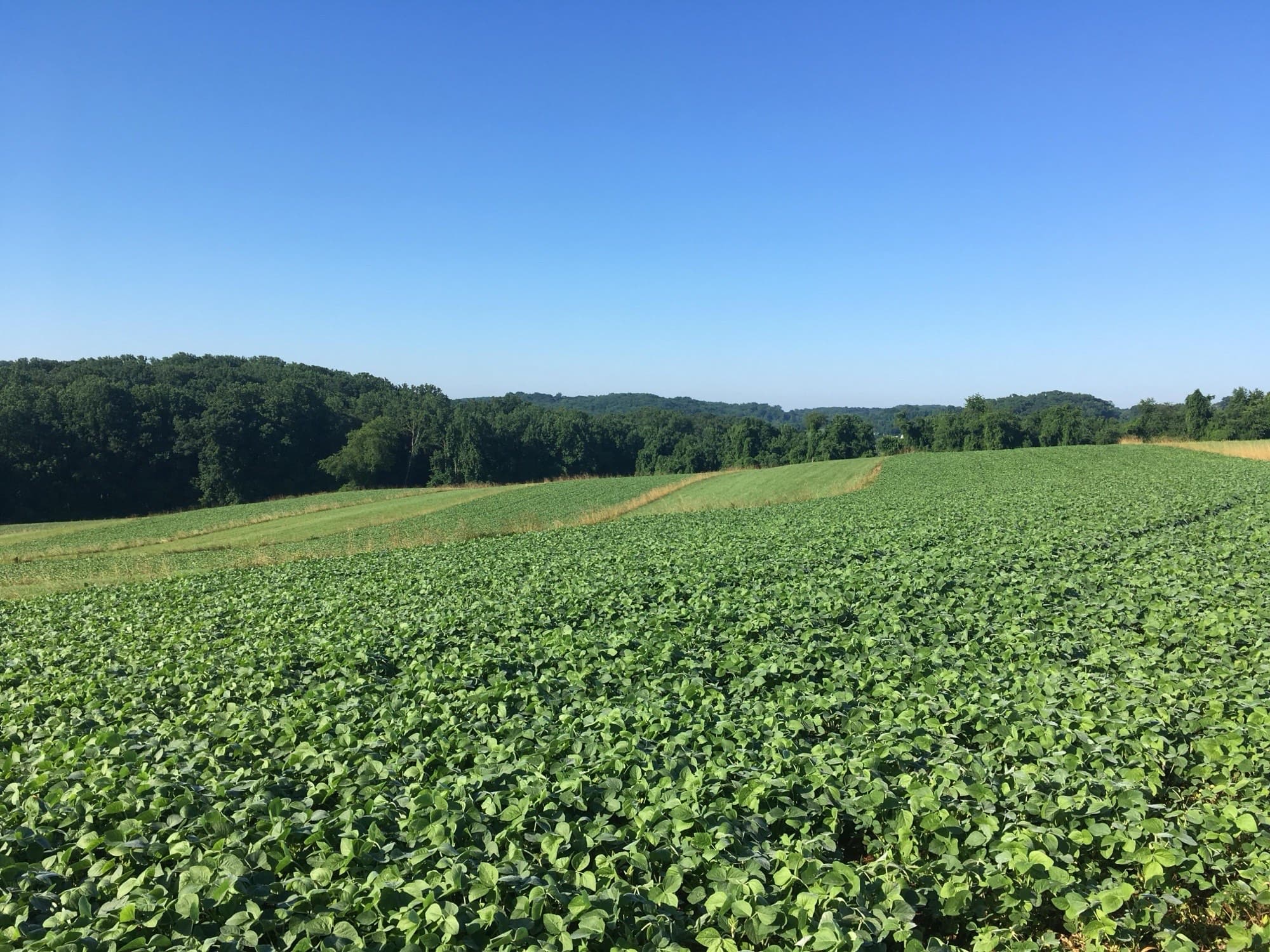 The Brandywine Valley near Wilmington, Delaware, a creek-fed tributary landscape