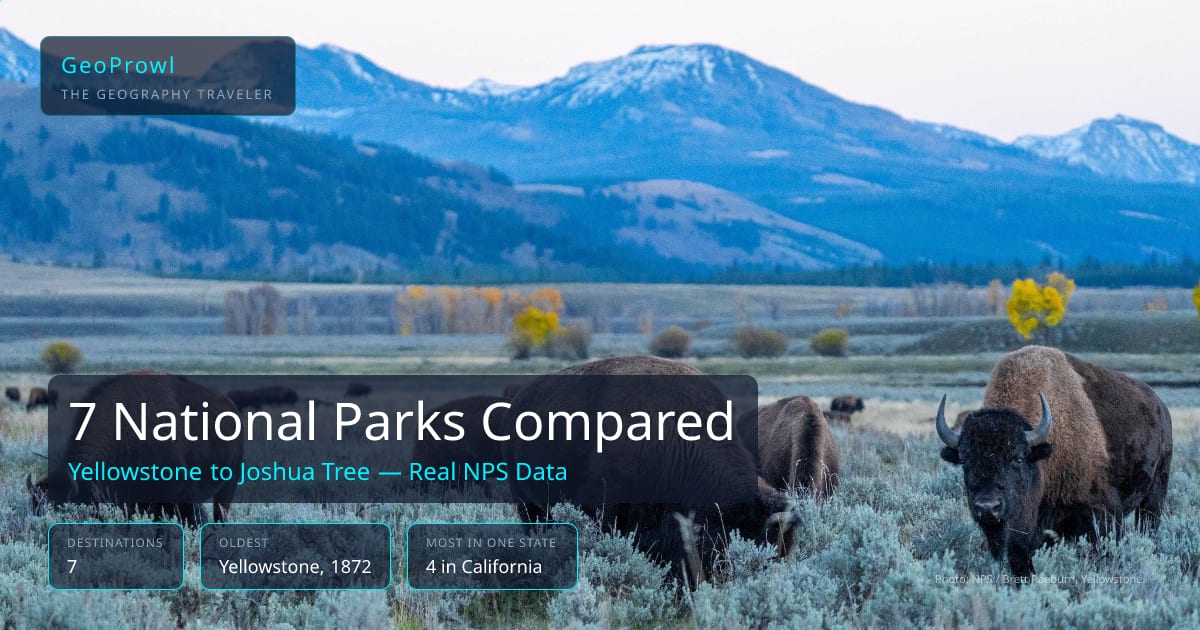 GeoProwl infographic comparing 7 national parks, Yellowstone, Yosemite, Sequoia & Kings Canyon, Grand Canyon, Joshua Tree, Redwood, and Acadia