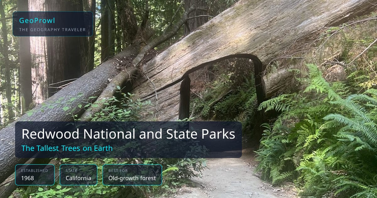 Redwood National and State Parks, The tallest trees on Earth