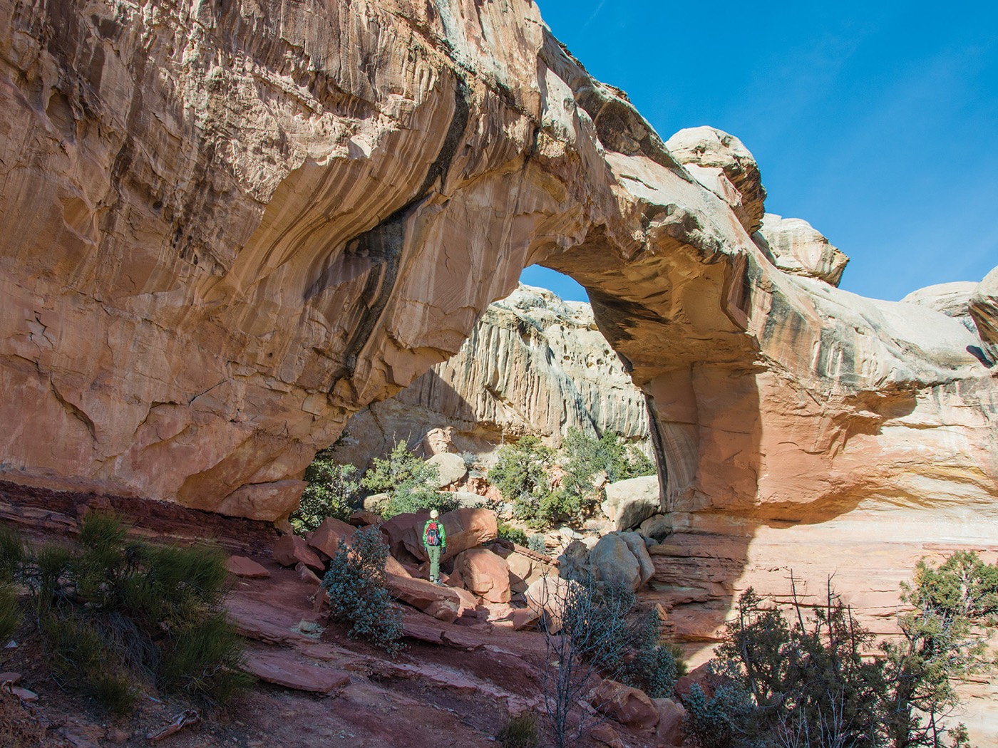 Capitol Reef National Park, The Waterpocket Fold, a 100-mile monocline (wrinkle) in the Earth's crust