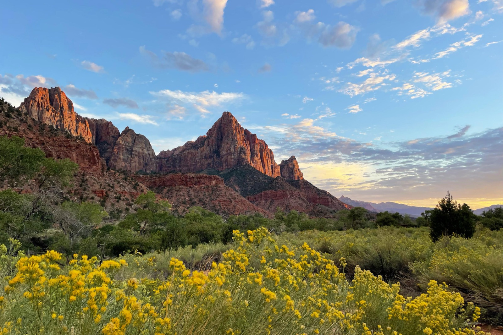 Zion National Park, The Narrows slot canyon and 2,000-foot sandstone cliffs of Zion Canyon