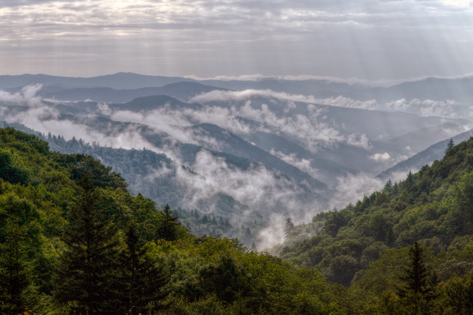 Great Smoky Mountains National Park, The blue-gray mist that gives the park its name, rising from dense forest cover across ridge after ridge